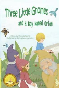 bokomslag Three Little Gnomes and a Boy Named Orion: Adapted: Easy / Beginner Reader Verison for Kids