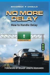 bokomslag No More Delay: How To Handle Delay
