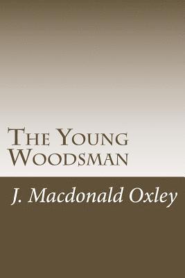 The Young Woodsman 1