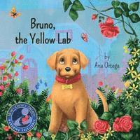 bokomslag Bruno, the yellow lab