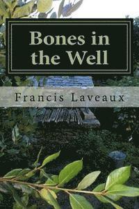 Bones in the Well 1