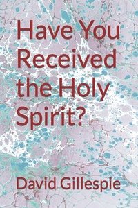 bokomslag Have You Received the Holy Spirit?