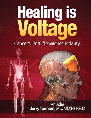 bokomslag Healing is Voltage: Cancer's On/Off Switches: Polarity