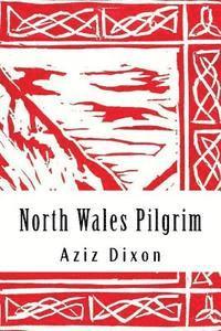 bokomslag North Wales Pilgrim: a poetic journey: reflections on a pilgrimage from Holywell to Bardsey