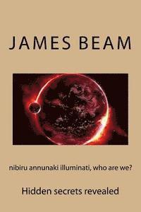 bokomslag nibiru annunaki illuminati, who are we?