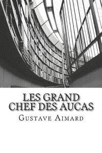 bokomslag Les Grand Chef des Aucas: Tome II