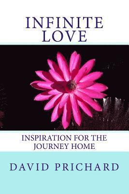 bokomslag Infinite Love: Inspiration for the Journey Home