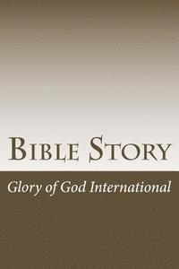bokomslag Bible Story