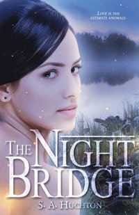 bokomslag The Night Bridge