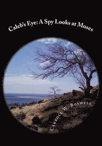 bokomslag Caleb's Eye: A Spy's Looks at Moses