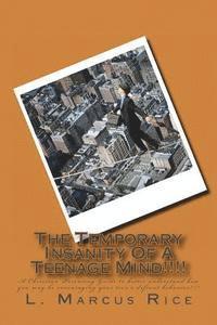 bokomslag The Temporary Insanity Of A Teenage Mind!!!!: A Christian Parenting Guide to better understand how you may be encouraging your teen's defiant behavior