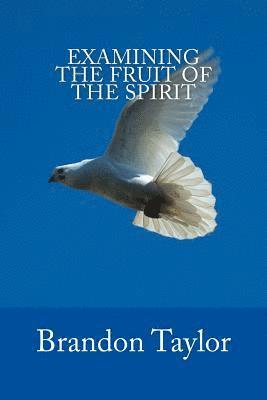 Examining The Fruit Of The Spirit 1