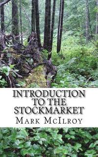 bokomslag Introduction to the Stockmarket