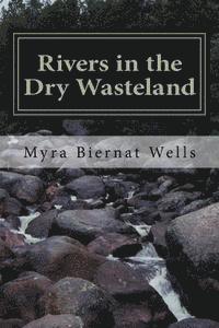 bokomslag Rivers in the Dry Wasteland: : Finding Divine Joy in Everyday Living