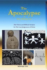 bokomslag The Apocalypse of Mary Moonju Lee: Her Vision and Biblical Analysis for The Last Judgement of Christ