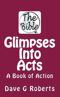 bokomslag Glimpses Into Acts: A Book of Action