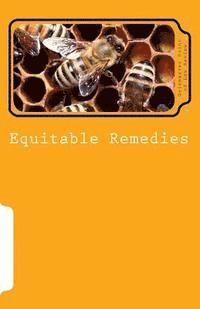 bokomslag Equitable Remedies