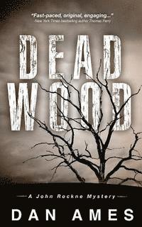 bokomslag Dead Wood: A John Rockne Mystery