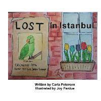 bokomslag Lost in Istanbul