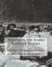 bokomslag Mining in the Jumbo Basin of Alaska