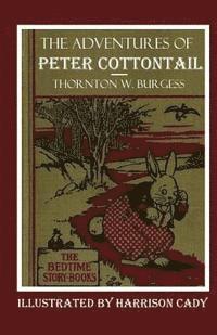 bokomslag The Adventures of Peter Cottontail