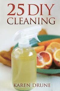 bokomslag 25 DIY Cleaning Recipes