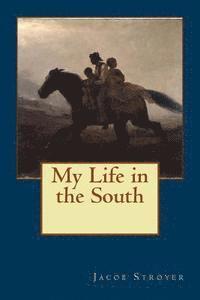 Jacob Stroyer - My Life in the South, Häftad