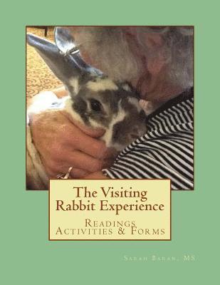 The Visiting Rabbit Experience 1