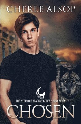 bokomslag Werewolf Academy Book 7