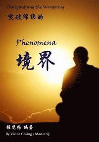 bokomslag Disregarding the Wondering Phenomena: The Theory and Practice of Phenomena in Chan Meditation