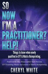 bokomslag So Now I'm a Practitioner? Help!: Things to Know When Newly Qualified in EFT and Matrix Reimprinting