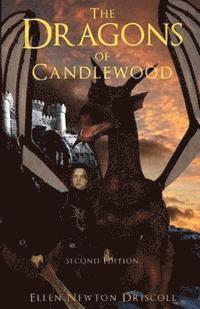 bokomslag The Dragons of Candlewood