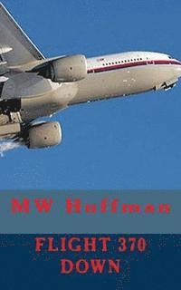 bokomslag Flight 370 Down