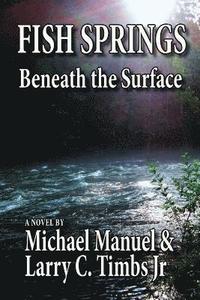 bokomslag Fish Springs: Beneath the Surface