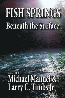 bokomslag Fish Springs: Beneath the Surface