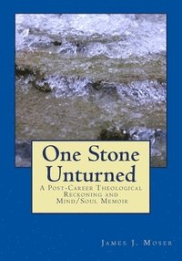 bokomslag One Stone Unturned: A Post-Career Theological Reckoning and Mind/Soul Memoir