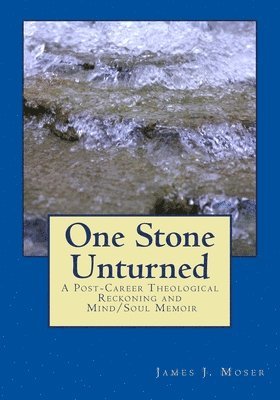 bokomslag One Stone Unturned: A Post-Career Theological Reckoning and Mind/Soul Memoir