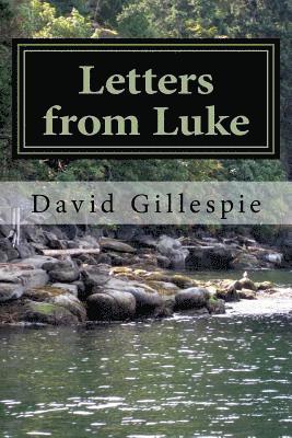 bokomslag Letters from Luke