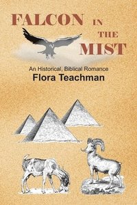 bokomslag Falcon in the Mist: An Historical, Biblical Romance