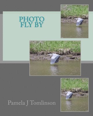 Photo Fly By 1