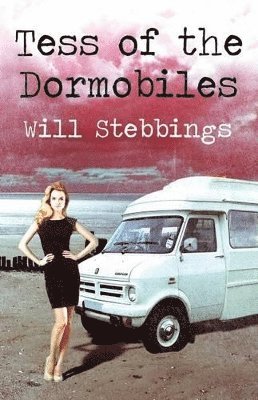 bokomslag Tess of the Dormobiles