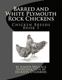 Barred and White Plymouth Rock Chickens 1