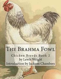 bokomslag The Brahma Fowl