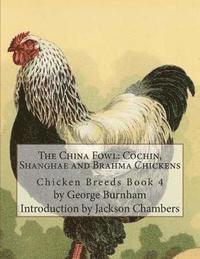 The China Fowl: Cochin, Shanghae and Brahma Chickens: Chicken Breeds Book 4 1