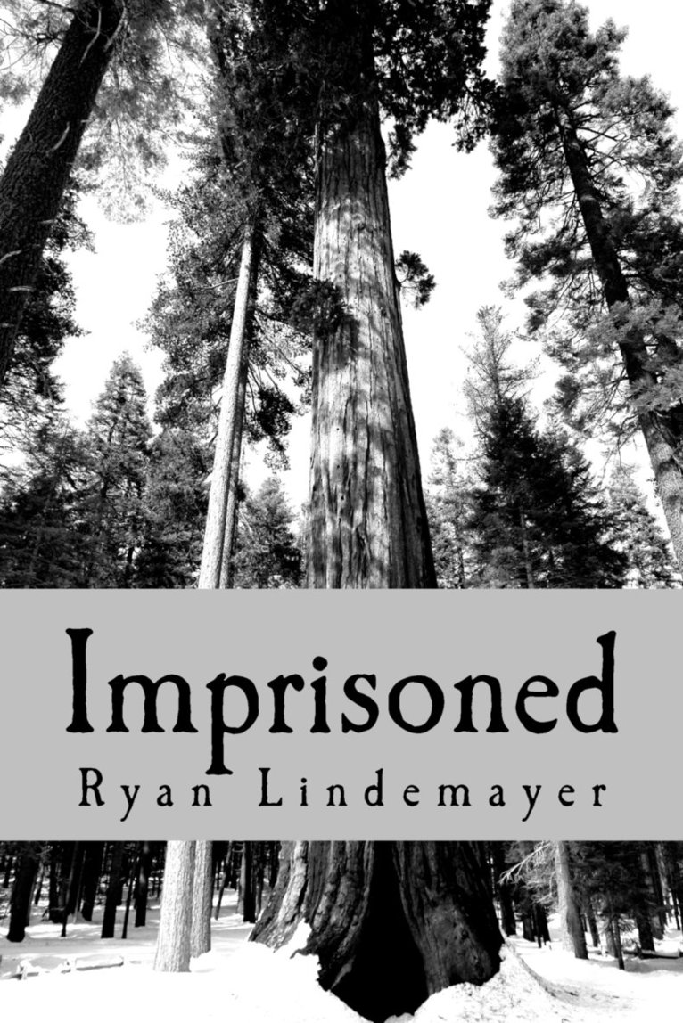 Ryan Lindemayer - Imprisoned, Häftad