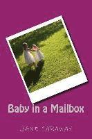 Baby in a Mailbox 1