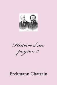 bokomslag Histoire d'un paysan 3