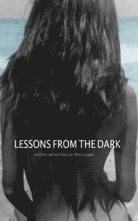 bokomslag Lessons from the Dark