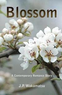 bokomslag Blossom: A Contemporary Romance Story
