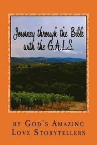 bokomslag Journey through the Bible with the G.A.L.S.: Volume 1: Old Testament